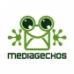 Locuri de munca MediaGeckos