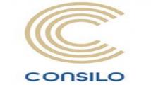 Locuri de munca Consilo WEB