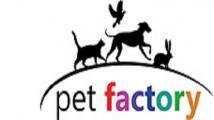 Locuri de munca Pet Factory